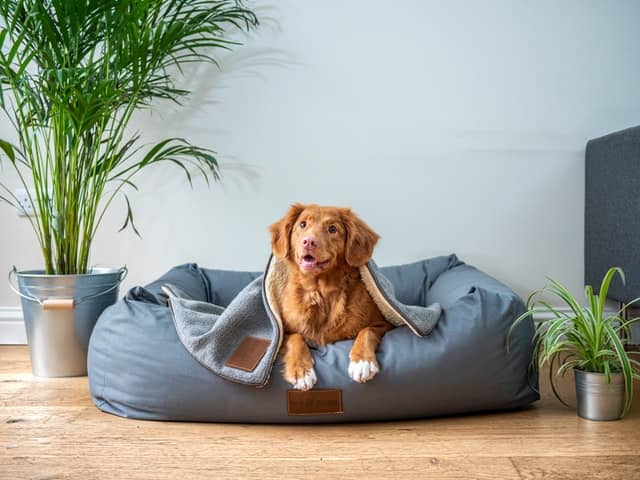 Waterproof Dog Blanket for Bed