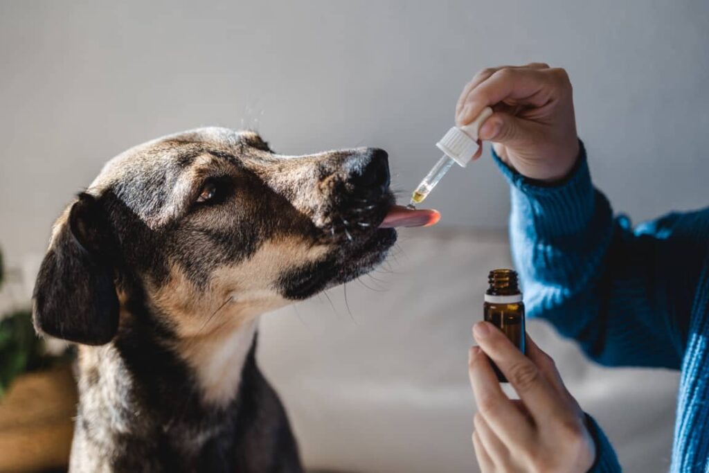 Grizzly Salmon Oil for Dogs Side Effects