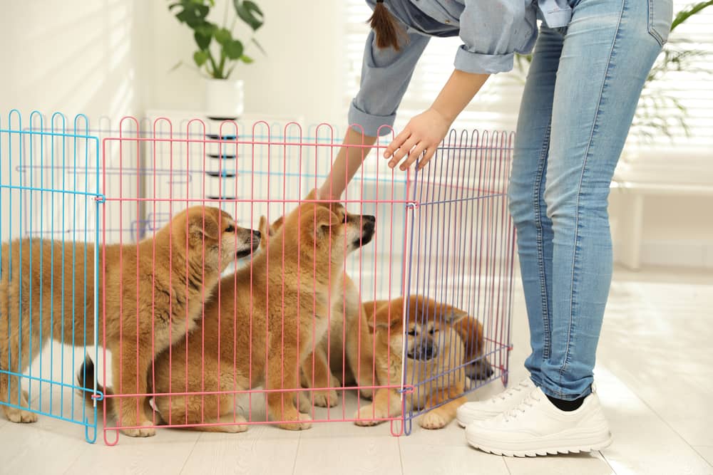 Dog Playpens Indoor 5