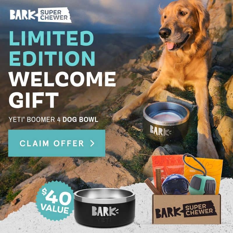 barkbox super chewer 22