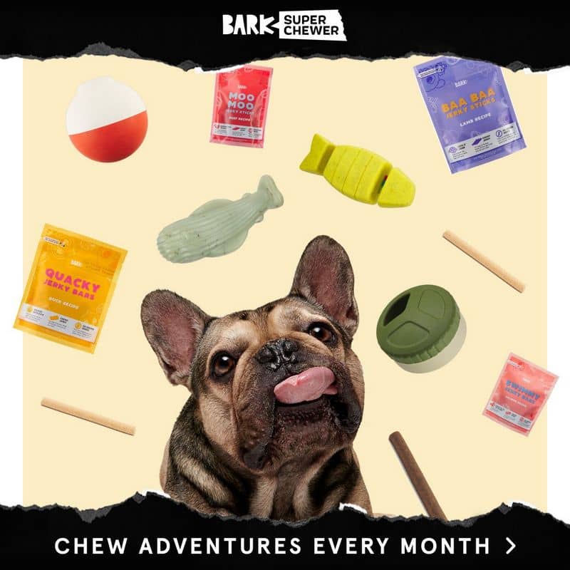 barkbox super chewer 44