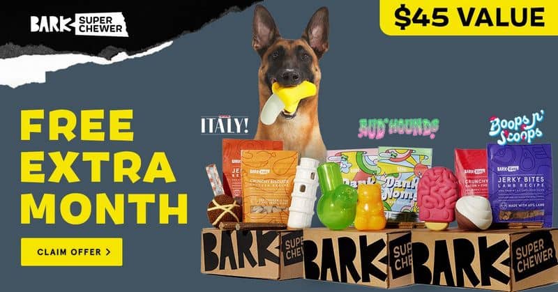 barkbox super chewer 55