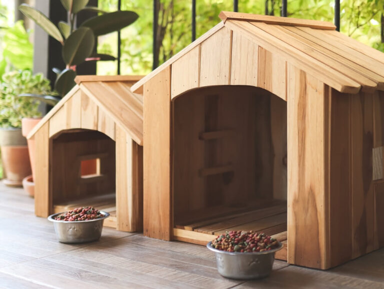 Outdoor Dog Houses