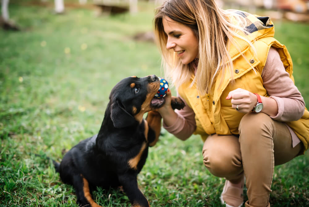 Woman training Rottweiler