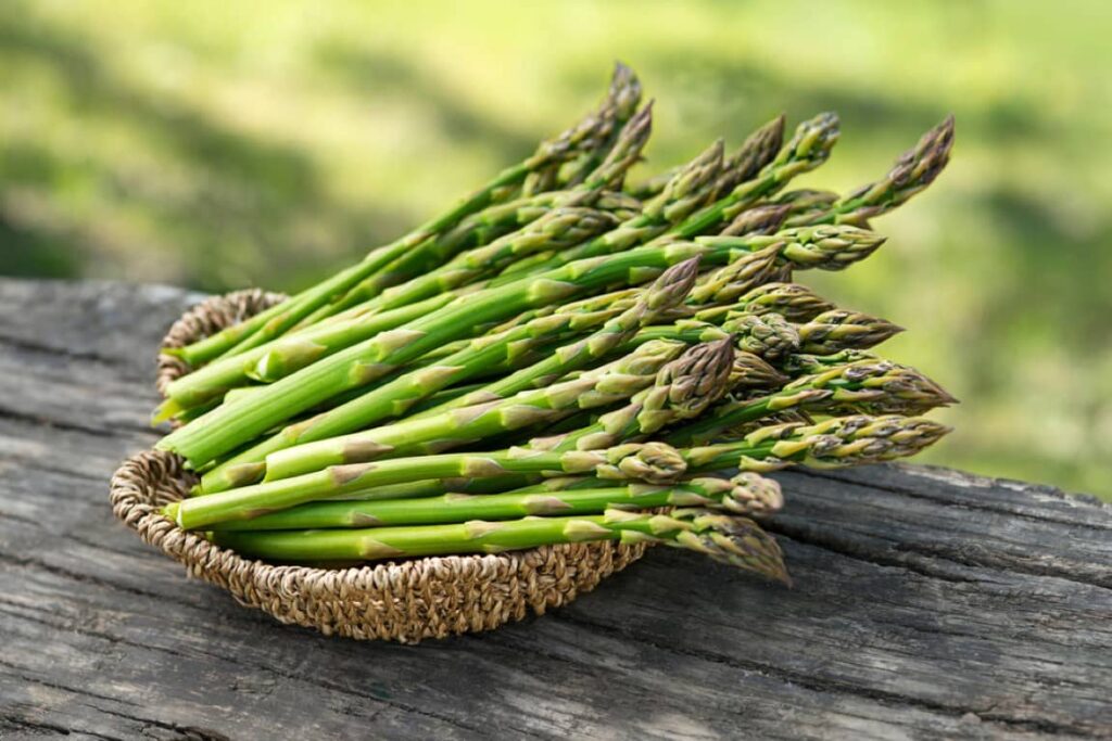 Can dogs eat cooked Asparagus