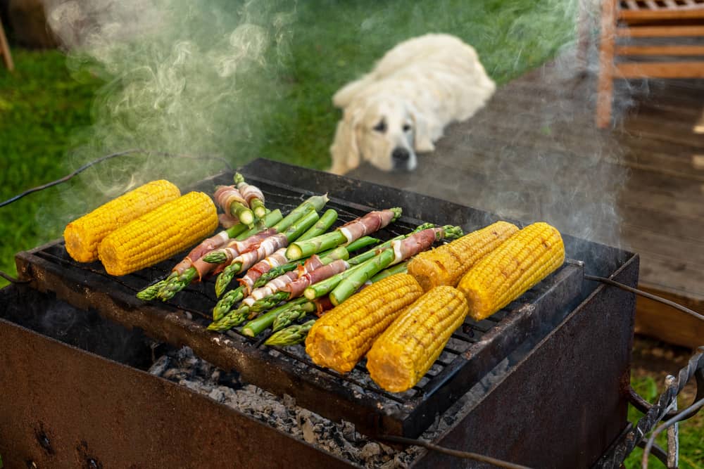 Is Asparagus Poisonous for Dogs