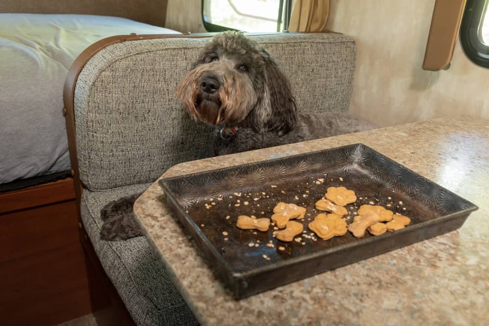 Tasty Blue Ridge Sweet Potato Dog Treats