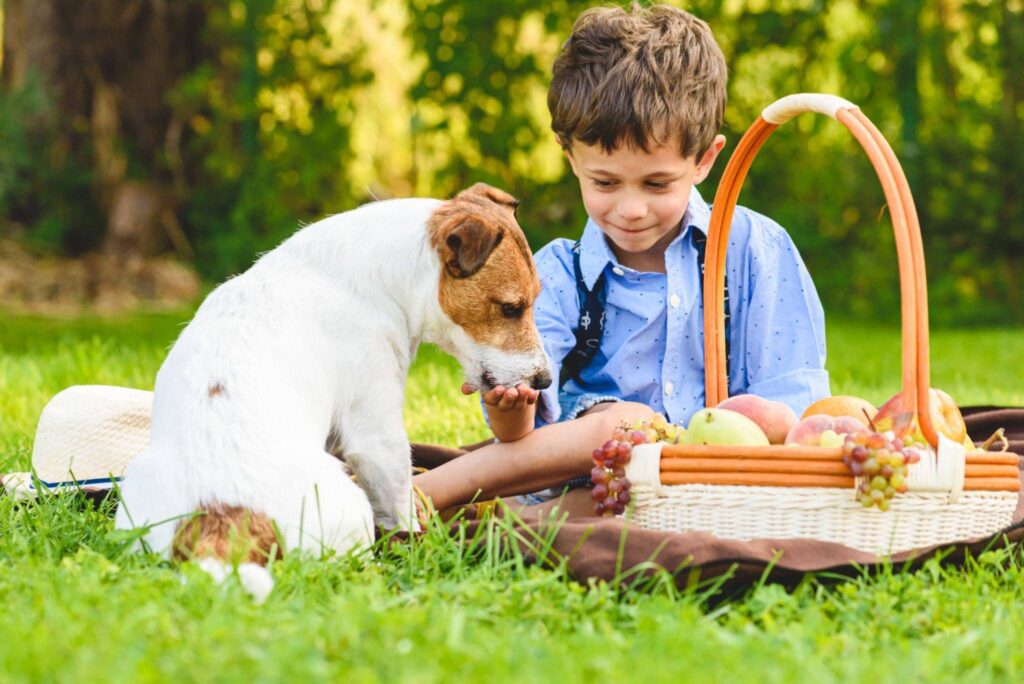 Can Dogs Eat Grapes?